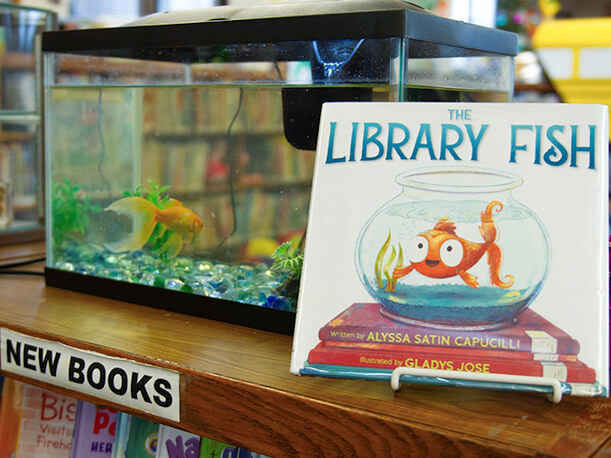 Fish tank with a book next to it